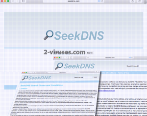 Het Seekdns.com virus