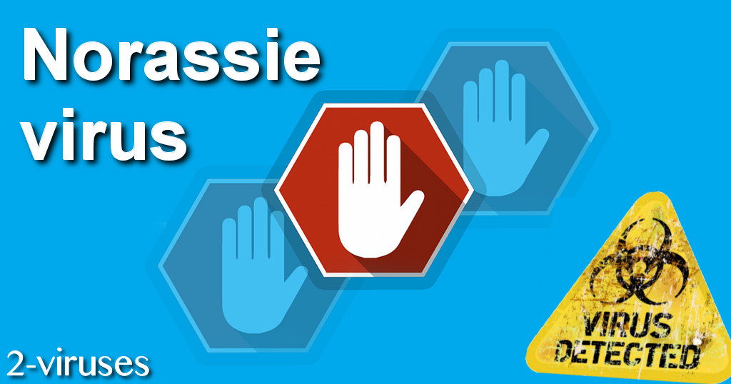 Norassie-virus-remove